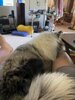 IMG_0712.jpeg