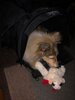 IMG_0168.jpg IMG_0168.jpg