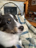 IMG_2374.jpeg