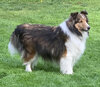 Laddie 4:17:2024 copy.jpg