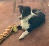 IMG_2813.jpeg