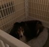 IMG_5009.jpeg