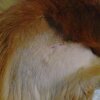 Teddybooboo1024.JPG
