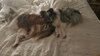 IMG_7482.jpeg