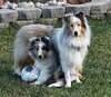 Soccer buddies.jpg