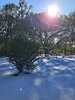 20250122_154356_rs.jpg 20250122_154356_rs.jpg