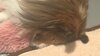 IMG_8121.jpeg IMG_8121.jpeg