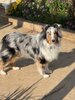 thumbnail_IMG_6733.jpg