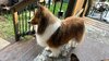 IMG_8825.jpeg