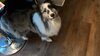 IMG_8837.jpeg IMG_8837.jpeg