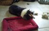 20190609_141927.jpg 20190609_141927.jpg