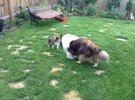 IMG_5533.jpeg