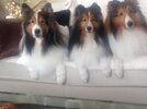 IMG_5532.jpeg