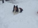 IMG_5529.jpeg