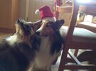 IMG_5527.jpeg