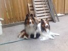 IMG_5524.jpeg