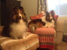 IMG_5526.jpeg