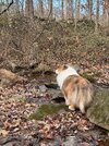 IMG_1693.jpeg