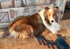 IMG_1658.jpeg