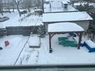 IMG_0375.jpeg