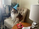 IMG_0619.jpeg