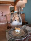 Benson8thbirthday.jpg