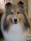 Benson8thbirthdayportrait.jpg