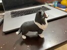 IMG_1310.jpeg
