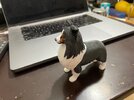 IMG_1311.jpeg
