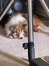 IMG_1347.jpeg
