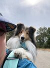 IMG_8840.jpeg