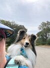 IMG_8838.jpeg