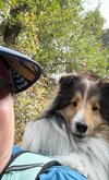 IMG_8836.jpeg