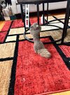 IMG_1876.jpeg