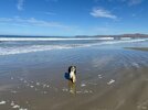 IMG_8986.jpeg