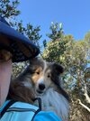 IMG_9020.jpeg