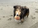 IMG_9167.jpeg
