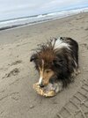 IMG_9172.jpeg
