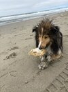 IMG_9171.jpeg