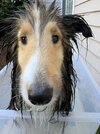 IMG_9258.jpeg