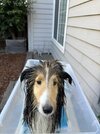 IMG_9252.jpeg