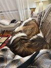 IMG_2151.jpeg