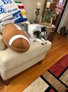 IMG_2152.jpeg