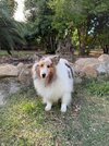 IMG_3163.jpeg