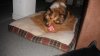 DSCF0457.jpg