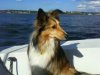 sailing3.jpg