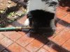 Zak and hose 003.jpg