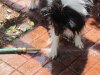 Zak and hose 004.jpg
