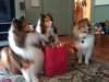gatheringgift.jpg