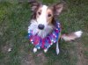 Thelma_NCSR_Aug2012.jpg